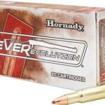 HORNADY LEVEREVOLUTION 348 WIN 200GR FTX 20RD